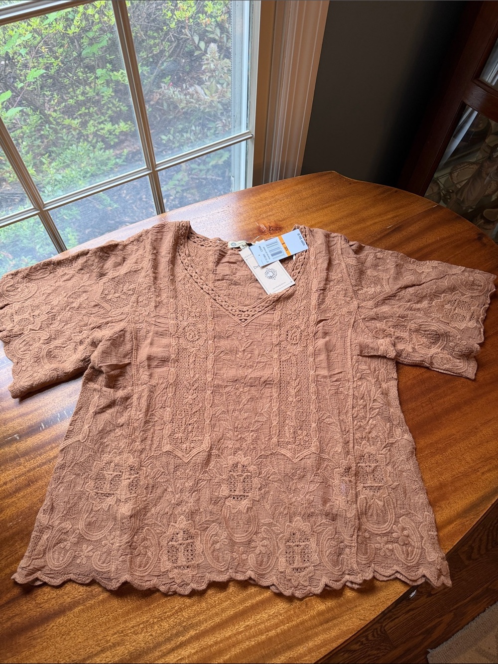 Democracy Lace Cotton V-Neck Blouse - Rosewood